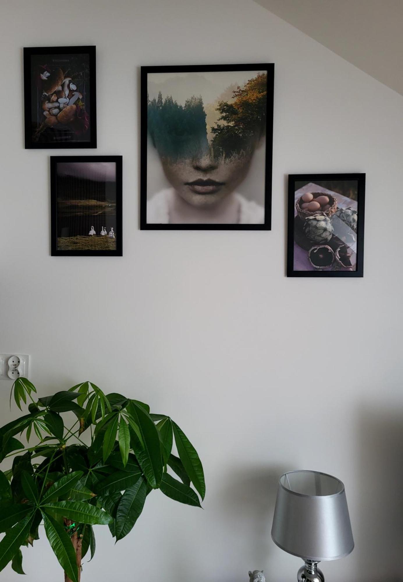 Apartament Dolina Baryczy Milicz Esterno foto