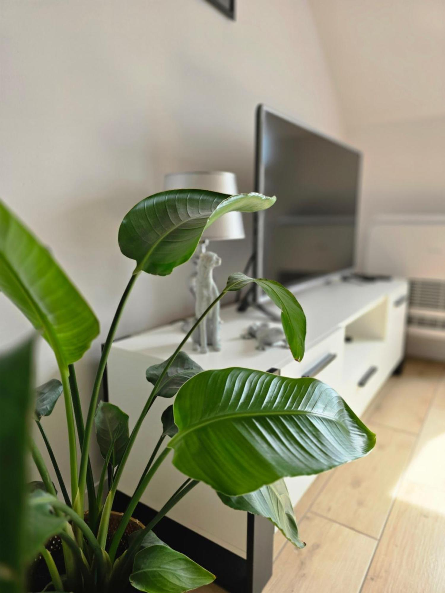 Apartament Dolina Baryczy Milicz Esterno foto